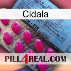 Cidala 35